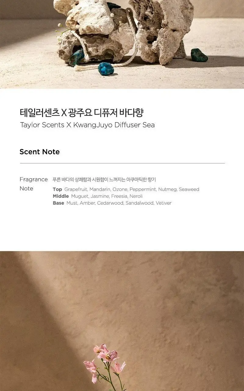 [NEW] 테일러센츠 x 광주요 매병 디퓨저 단품 200ml 2종 택1 상세페이지 6